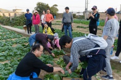 活动 2018.10.28 舟山嵊泗拓展