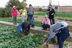 活动 2018.10.28 舟山嵊泗拓展