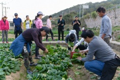 活动 2018.10.28 舟山嵊泗拓展