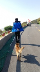 活动 2018.10.28 舟山嵊泗拓展