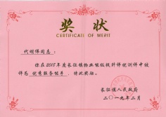 2019.2.20 代明伟 优秀服务能手