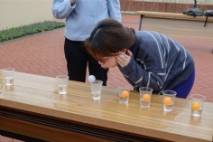 活动 2019.3.28 集团长兴岛拓展活动