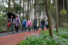 活动 2019.3.28 集团长兴岛拓展活动