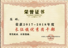 2019.4 陈琳 2017-2018年度长征镇优秀团干部