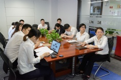 会议 2019.6.13 扫黑除恶专项斗争主题党日