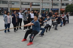 活动 2019.11.22 职工运动会 综合