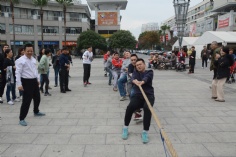 活动 2019.11.22 职工运动会 综合