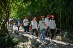 活动 2021.6.5 丽水拓展活动