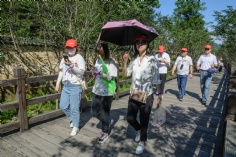 活动 2021.6.5 丽水拓展活动