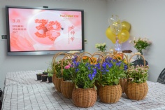 活动 2023.3.7 庆祝“三八”劳动妇女节