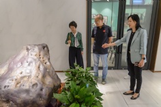 访问 2026.6.26 普陀区政协领导走访调研