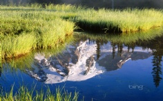 MtRainier1920x1200 Bing Desktop